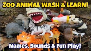 Zoo Animal Toys in Forest Stream 🌲🦓 | Wash & Learn Animal Names & Sounds | Nature Play for Kids