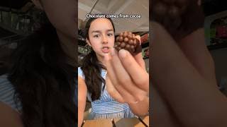 Chocolate is a SALAD!!? 😱🤔🤪 #fypシ #funny #chocolate #summer #viral #joke
