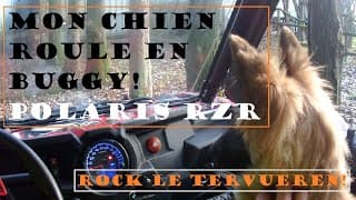 Rock, my dog Belgian shepherd rides a RZR 900!