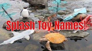 Play: Learn Ocean Toy Names!