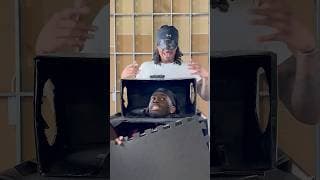 AMP WHAT'S IN THE BOX