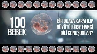 100 bebek bir odaya kapatılıp büyütülürse hangi dili konuşurlar?