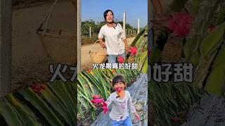 गुड़िया ने खाया जंगली फल 😂 ~ mini wood toy - wood wrorking art skill / wood / hand crafts