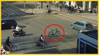 10 Moments Que Vous Ne Croiriez Pas S'ils N'étaient Pas Filmés