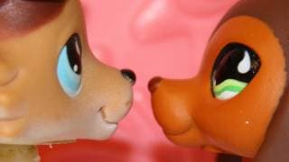 Littlest Pet Shop: Popular (Episode #6: Moments of Reflection)