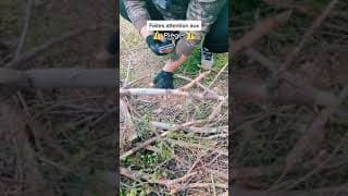 Cet endroit est piégé ! 😬