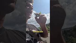 Trying Asia's Most Addictive Substance