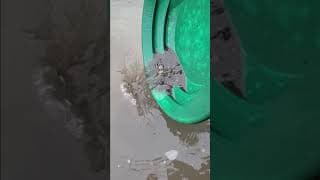 You Can Always Find Gold On The Fraser River!