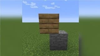 I joined a cursed minecraft server...