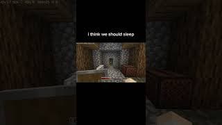 We should had slept | #shorts #minecraft #memes