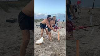 SHARK FISHIN’ 🦈