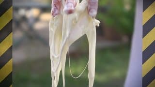 Liquide ou Solide ?! - Fluide Non-Newtonien ! [Science 2.0]