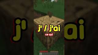 Si je dis ce mot, mon Minecraft devient Réaliste !! 😎