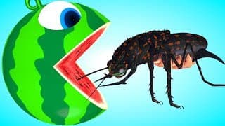 Pacman watermelon roll meets a black bug, whale animal friends as he find surprise toys on farm