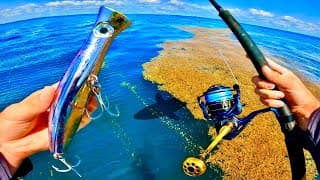 Un leurre énorme pour pêcher le géant exotique du grand large en Guadeloupe !!