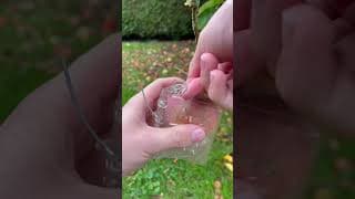 LE RÉSULTAT EST PRÊT