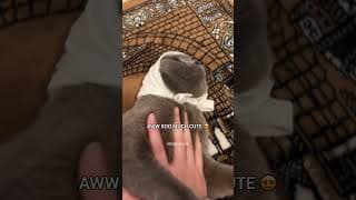 Sister Minnie has a Prayer rug ✨