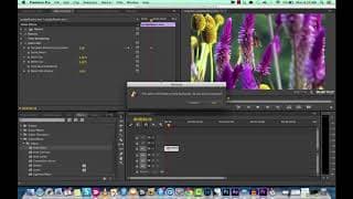 Adobe Premiere Pro - Auto Color Effect