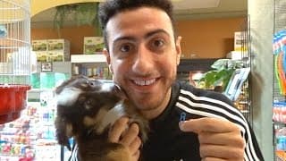 Trading A Paperclip For A Puppy!!