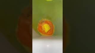 Bain Aesthetic ✨ Bubble bath 🫧  @Loufitlove