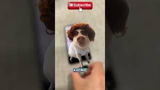 POV Keadaan si samsul ketika indonesia kalah lawan #shorts  #videolucu#lucu