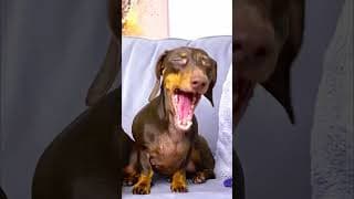 О! ПРОСТИ ПЛИЗ 🥺