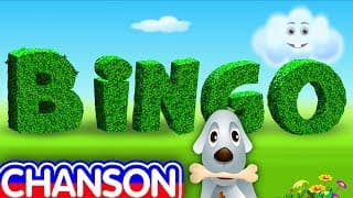 Chien De Bingo (Bingo Dog) | ChuChu TV Comptines et Chansons pour Enfants