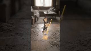 Animals With Cleaning Businesses😱