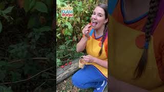 Count & Play with Caitie! 🍓 #caitiesclassroom #countingsongs #shorts #supersimplesongs