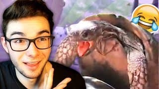 SI TU RIGOLE TU RECOMMENCE LA VIDÉO ! ( 99% Impossible )