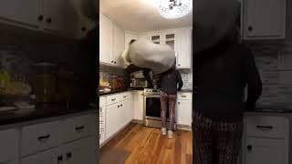 SHE DID NOT EXPECT THAT 🤣 #shorts