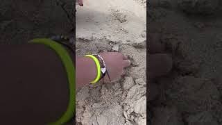 AUN NO ME PUEDO CREER LO QUE ENCONTRÉ 😨😨 #short