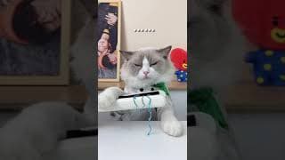 It ends brutally 😂 #thatlittlepuff #recipe #puffknowsbetter #PINKHolidayRemix