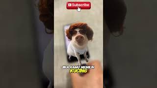 POV Ketika nanya alamat tapi alamatnya ga jelas  #videolucu #lucu #shorts