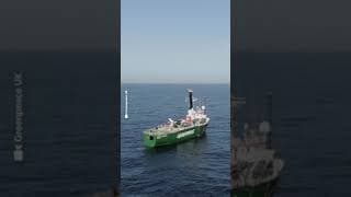 Pourquoi Greenpeace jette-elle d'énormes rochers dans la mer ? #shorts