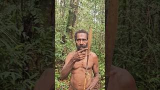 Survival Arrows 🏹😯 #hunting #korowai #jungle #nature #papua