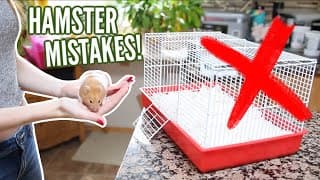6 MISTAKES hamster owners make!