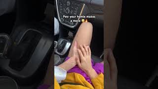 Pov: your homie makes a move 😳🔥 #shorts | sebb and dion #sebasdion