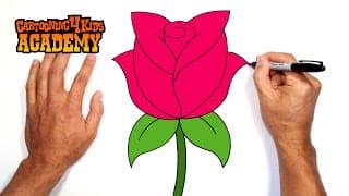 How to Draw a Rose- Art for Beginners