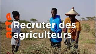 Sénégal : la téléréalité au service de l’agriculture | ARTE Reportage