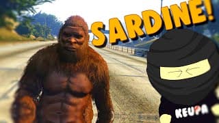 Je ReTroll GTA 5 RP !