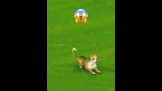 When The Manager, Fan, Dog Scores a Goal 😳