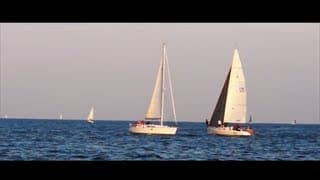 Bnova - Call Of The Wild [Snippet] (Official Music Video)