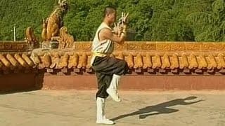 Shaolin Kung Fu Counterattack Strategy – QiXing Quan (Big Dipper Form) | Monk Shi De Yang
