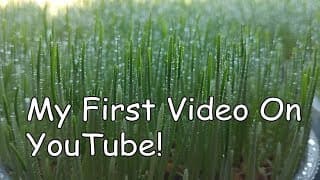 Inaugural Video For My Permaculture Farm - Getting Started On YouTube!