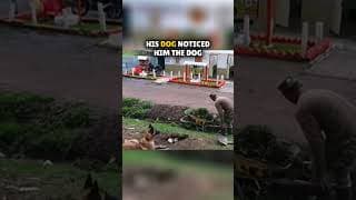 This is what this dog did when he saw his owner struggling 🥺💕 #shorts