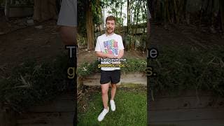 We help this paralysed dog run again!