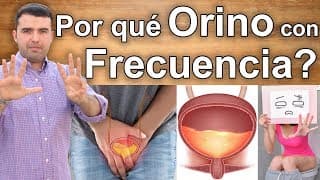 ¿Porqué Orino Mucho? - 8 Razones Por las Que Estas Orinando Demasiado - Riñones, Cancer, Diabetes