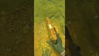 Find The Gun Before I Do! (Scuba Diving)