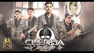 01. Cuerda Elegante - Que No Sea En Vano [Official Audio]